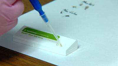 West Nile test