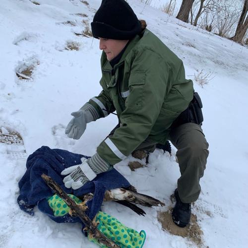 Illinois Conservation Police.jpg