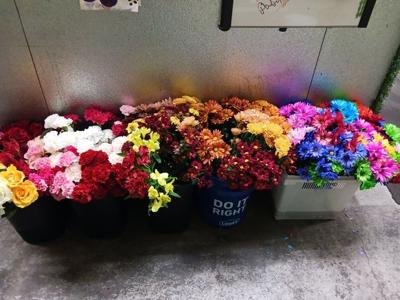 Flowers