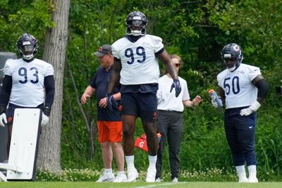 Bears Football