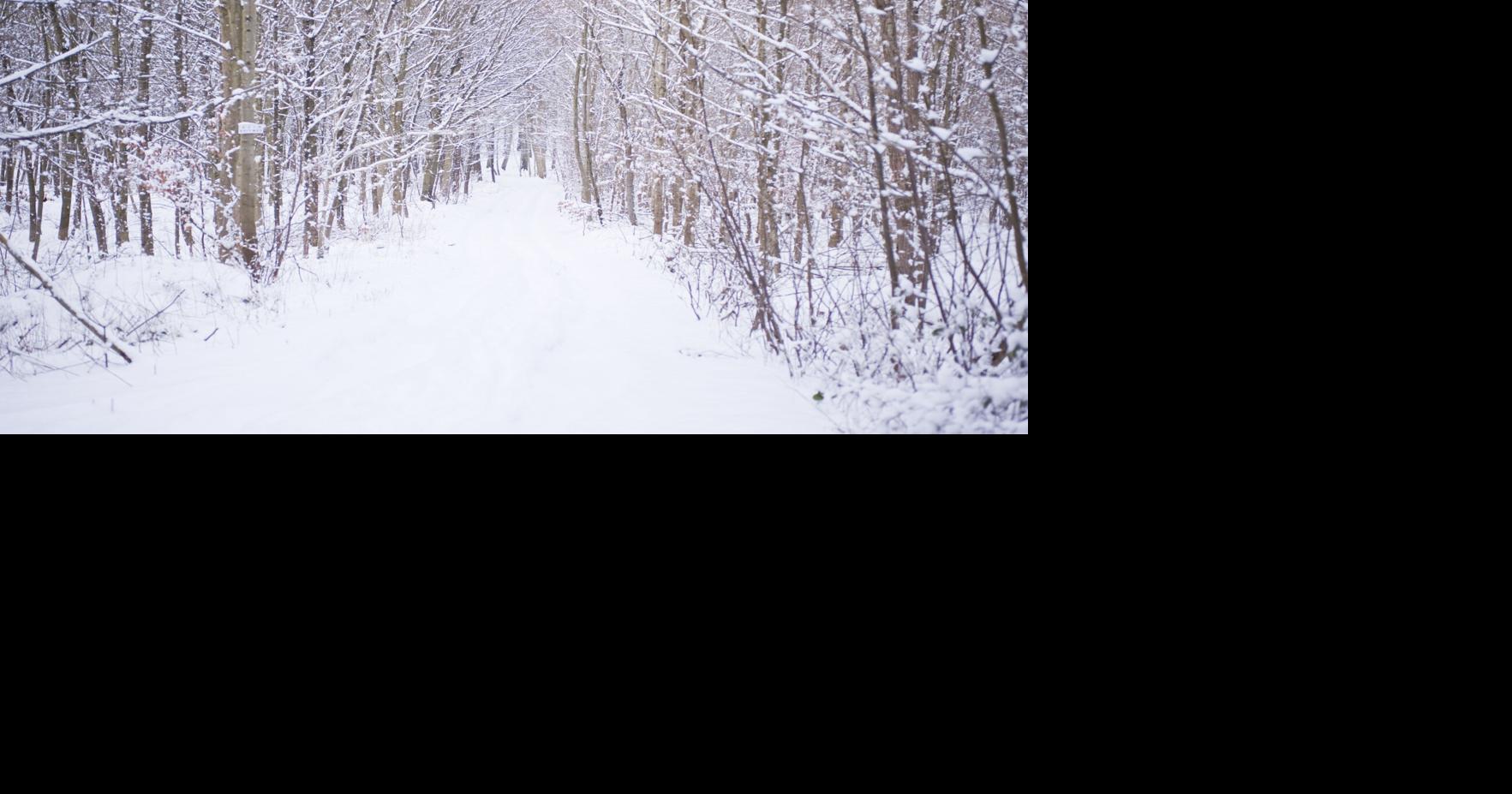 Weekend winter weather forces closures and cancellations across central Illinois