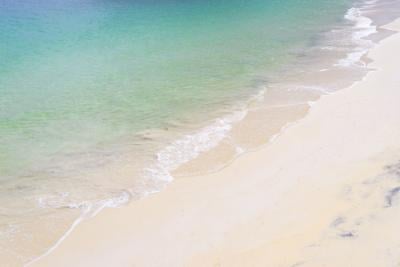 tropical-beach-with-clear-water-in-the-background-clear-blue-sky-busselton-western-aus-SBI-301985458.jpg
