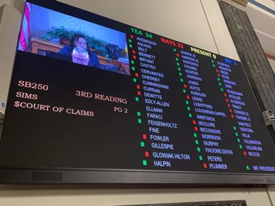 Illinois Senate budget vote