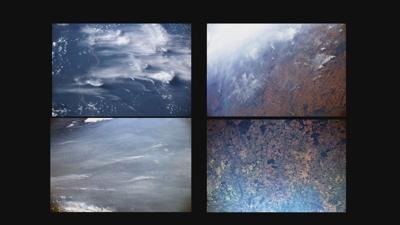 Amazon Forest Fires