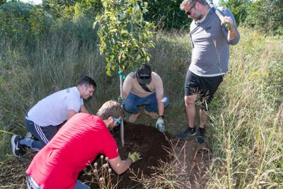 Morton Arboretum- tree planting at Lincoln Park Zoo Nature Boardwalk