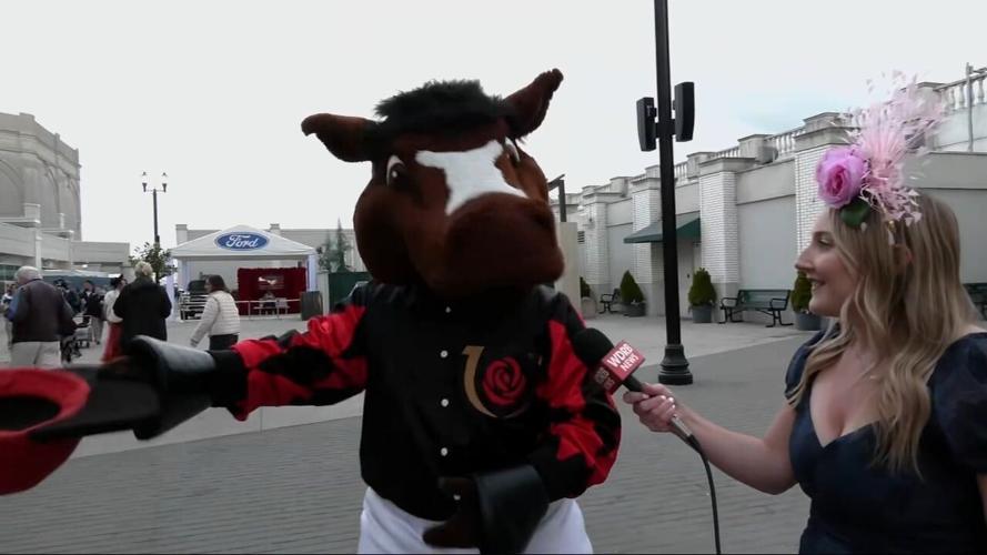 Churchill Charlie gets Derby ready