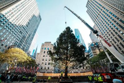 Rockefeller-Center-Christmas-Tree