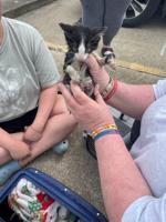 Charleston Fire Department respond to animal rescue