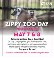 Zippy Zoo Day