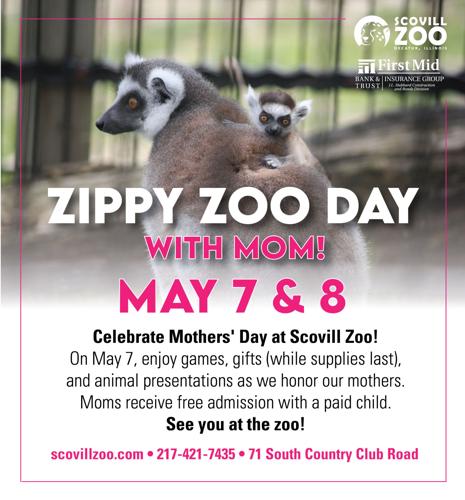 Zippy Zoo Day