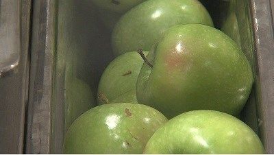 Free Meals For DPS 61 Students