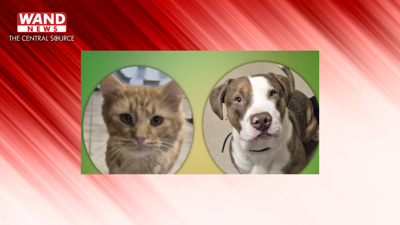 Happy Tails 12.10.25