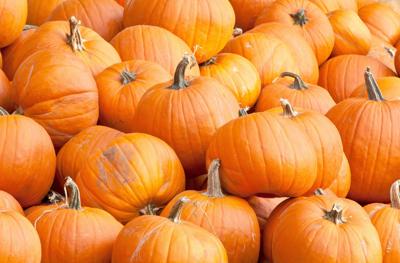 Pumpkins
