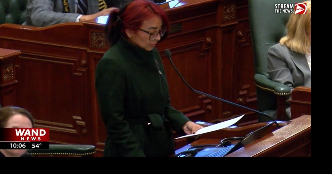 Democrats bash bill banning abortion in Illinois