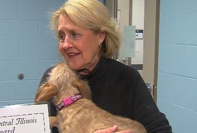 Teacher, animal helper, community leader earns award
