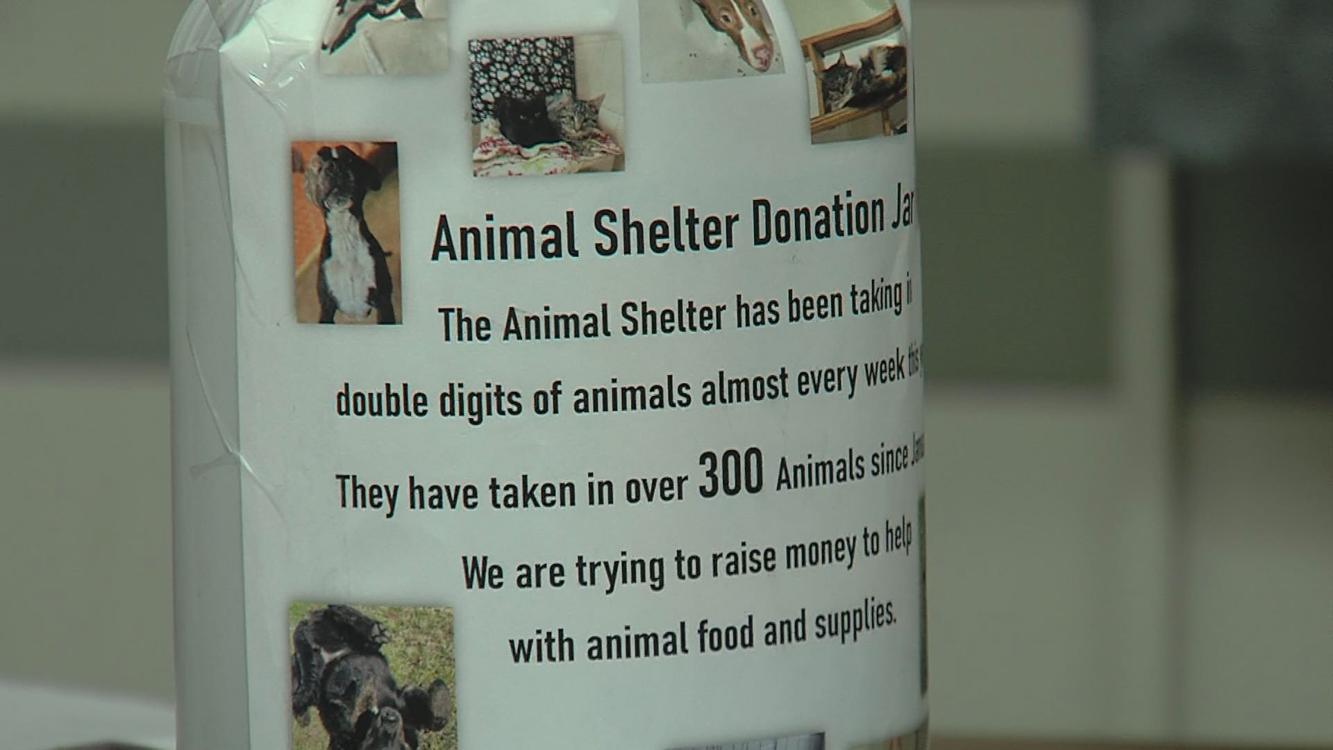 Residents helping animals at the Coles County Animal Shelter find their