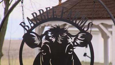 Local couple keeps southern roots with black-owned farm in Argenta