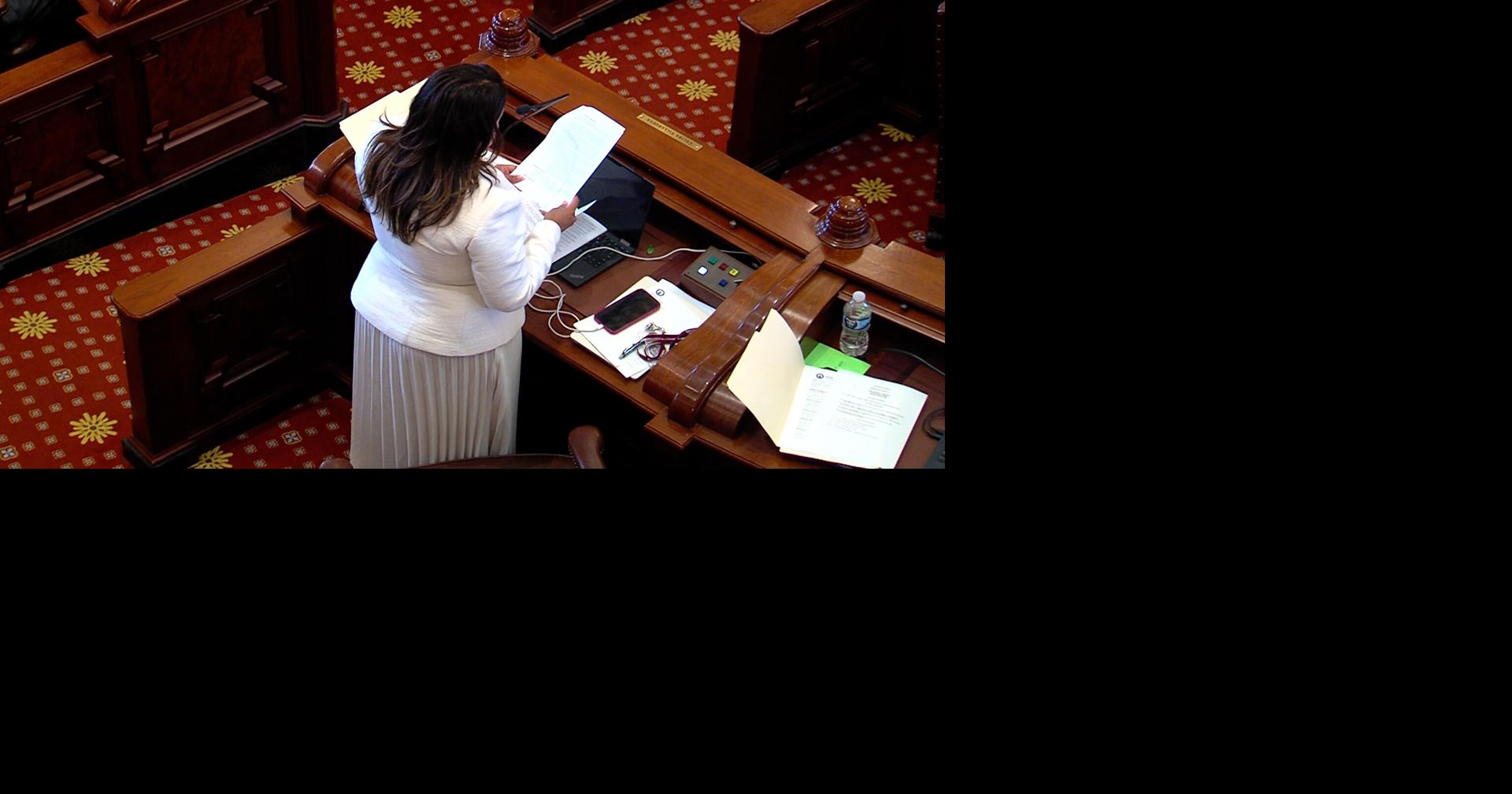 IL Dems advance Reproductive Health Records Privacy Act | Illinois Politics