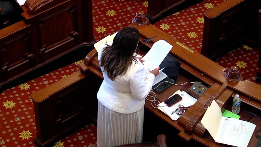 Sen. Celina Villanueva
