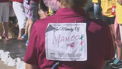 Hundreds gather in Fairview Park to come together and walk