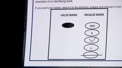 Voting (copy)