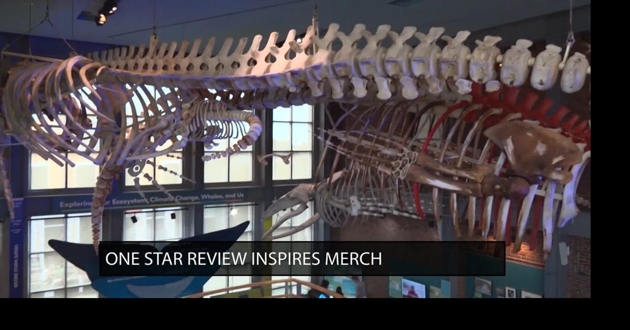 Museum turns bad review into one whale of a marketing slogan