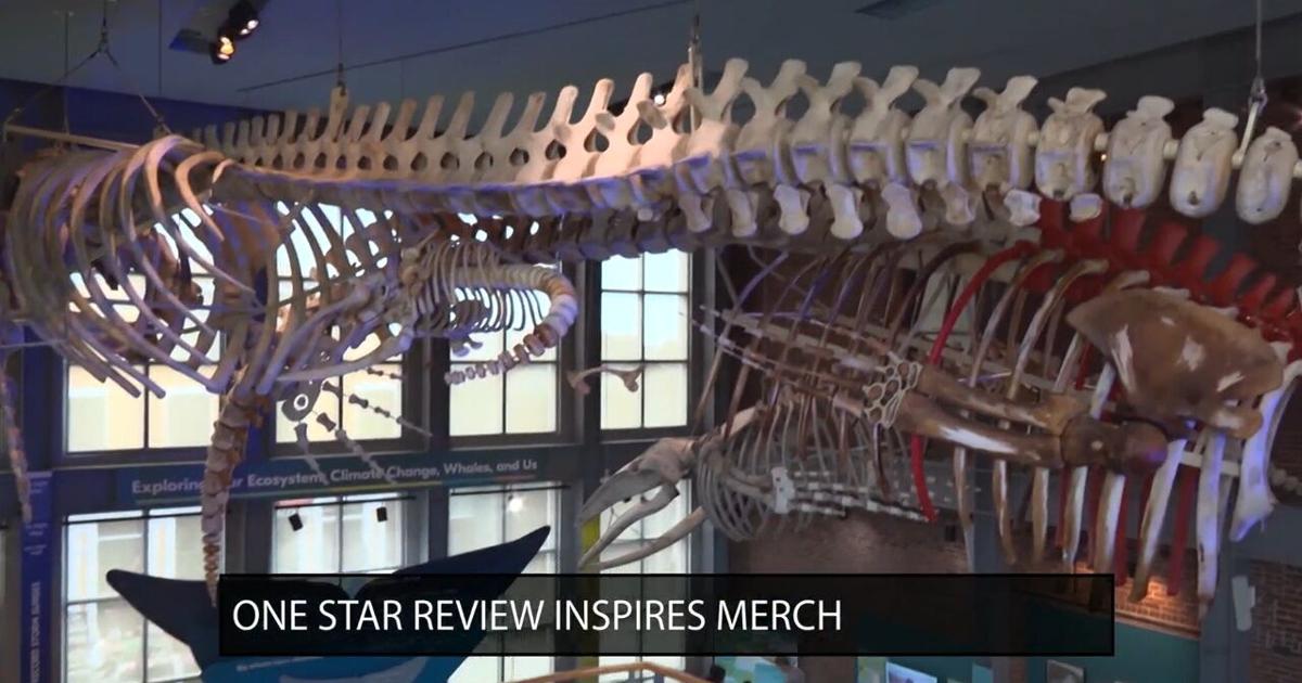 Museum turns bad review into one whale of a marketing slogan
