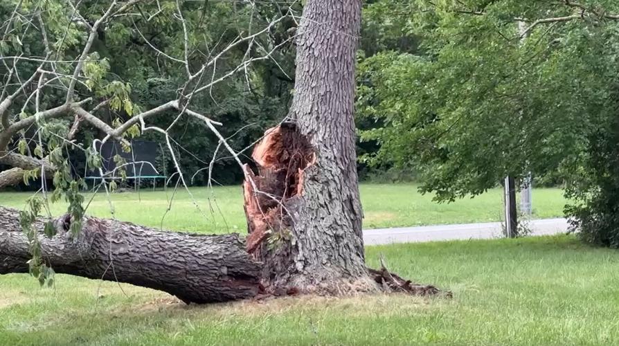 Storm Damage 6-25-24