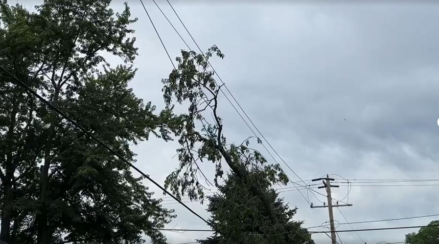 Storm Damage 6-25-24