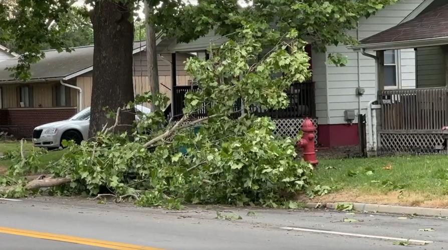 Storm Damage 6-25-24