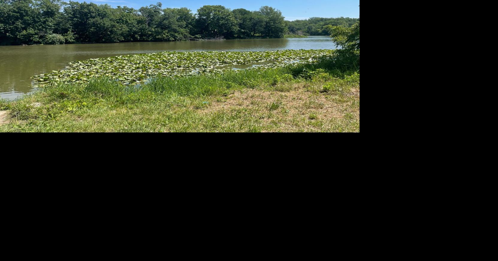 Disaster loans offered to small businesses affected by Mattoon algal bloom