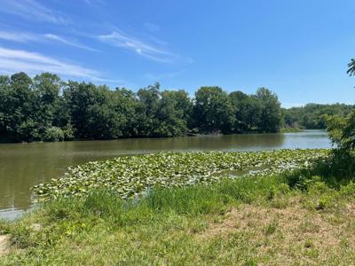 Lake paradise