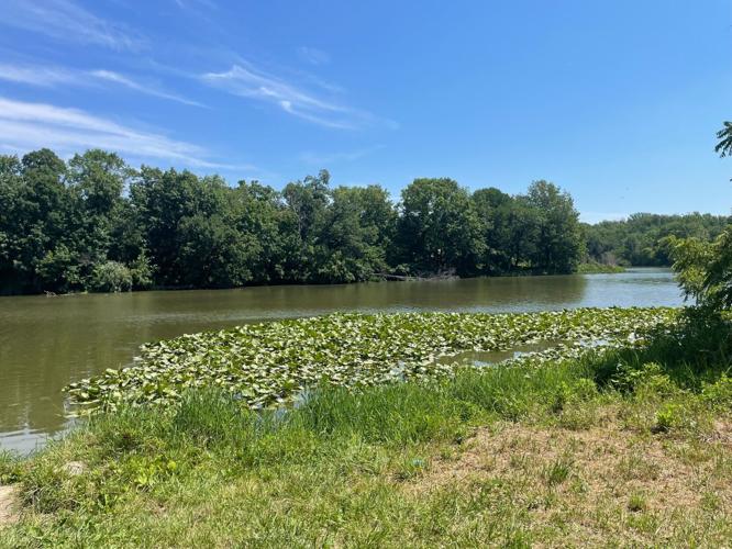 Lake paradise