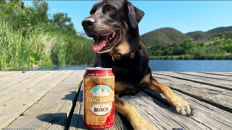 Dog Brew
