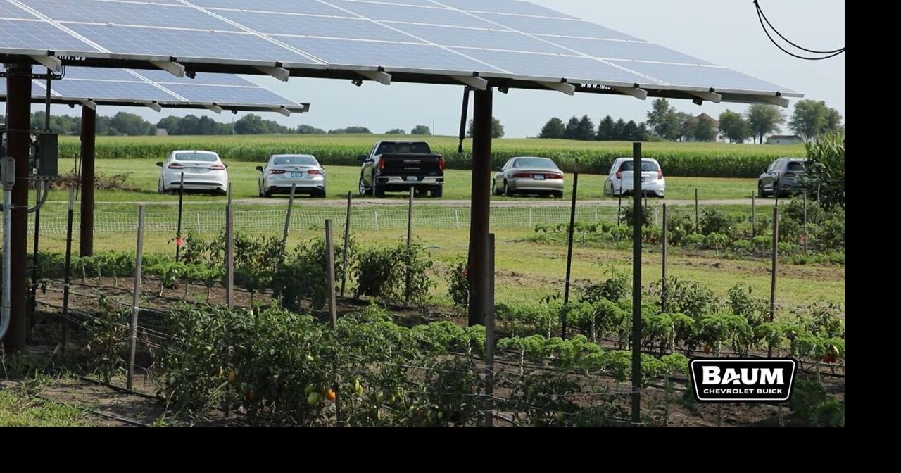 Agribusiness Today: U of I researchers share work at agrivoltaics field day