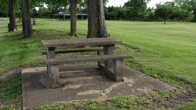 Picnic bench in park