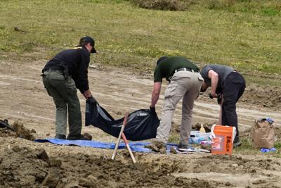 Dog Remains Discovered