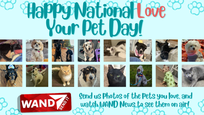 National Love Your Pet Day