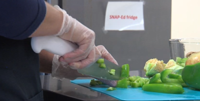 SNAP-Ed.PNG