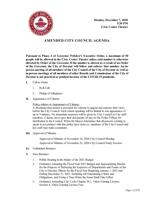 Decatur City Council meeting packet - 12/7/2020