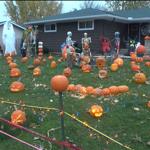 Pumpkin display shines bright: Father and son carve 258 Jack-O’-Lanterns
