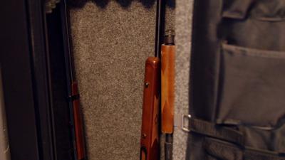 gun