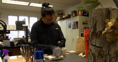 Illinois researchers crush, grind dead cicadas into powder to study and collect data
