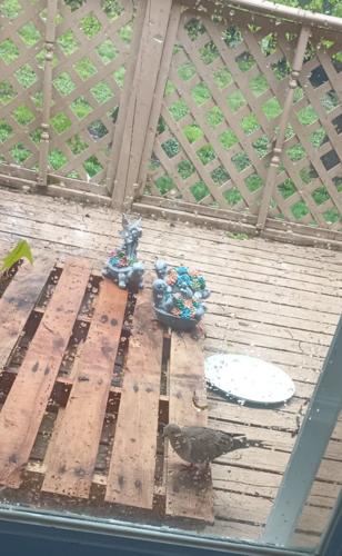 Storms pass through Jacksonville