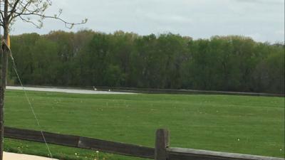 Barber Park flooding