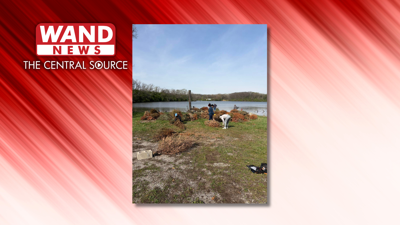 Christmas trees placed in Lake Decatur