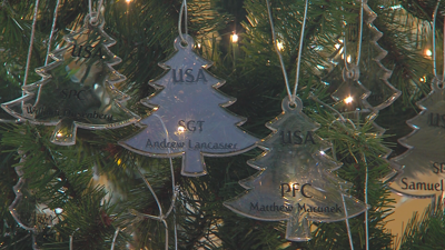 Illinois Gold Star tree