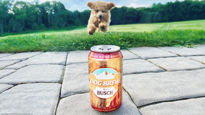 dog beer
