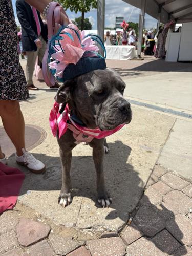 Kentucky Oaks 2026