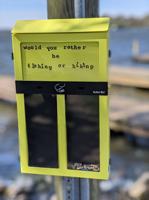 'Ballot bins' encouraging smokers to throw away cigarette butts